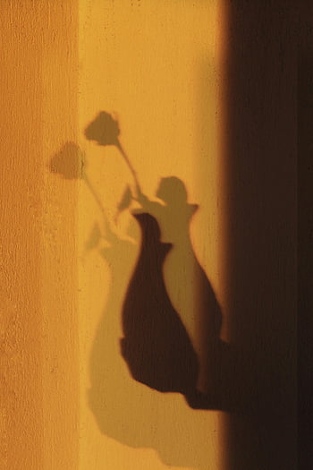 shadow, floral bud, vase, golden sunlight, artistic shadows, textured wall, serene ambiance, flower shadows, wall texture, vase shadow, sunlight effect