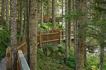 stubaital, foresta, Austria, tirolo, montagna, pista, boschi, natura, paesaggio