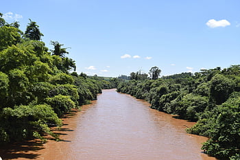 brazil, são Paulo, river, rio Pardo, water, nature, ecology, forest, environment, tree, green