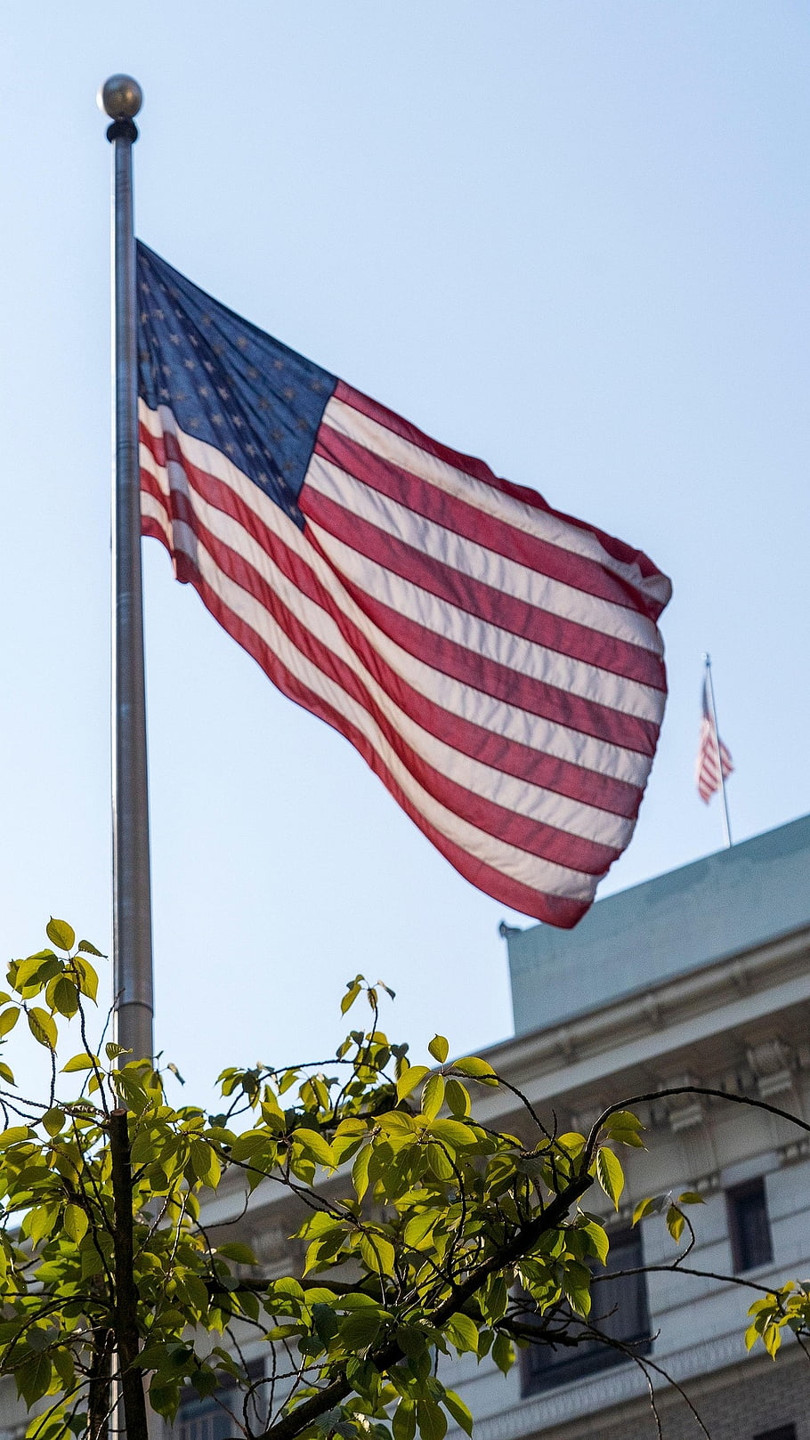 bandiera americana, asta portabandiera, stelle e strisce, bandiera, simbolismo, americano, tessuto, nazione, al di fuori, polo, alto