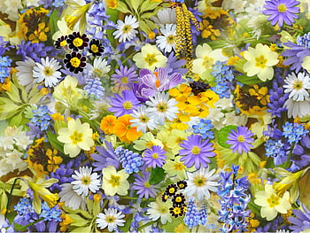 Bed of Flowers, spring flowers, colorful flowers, vivid blooms, assorted flowers, spring blooms, colorful assortment, flower bed, spring garden, floral display, mixed flowers