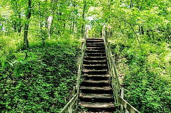 steps, stairs, rickety Steps, architecture, staircase, stairway, upward, old