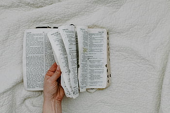 Svatá Bible, otevřená bible, Ruční držení Bible, Bílá textilie pozadí, náboženského textu, čtení bible, duchovní kniha, posvátné písmo, stránky Bible, jemný držení, Otevřené stránky