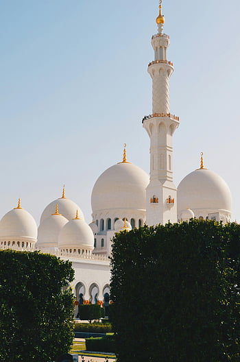 mešita šejka zayeda, Abu Dhabi, během dne, Elegantní pohled, Kultovní kopule, minaret, bílá mešita, Spojené arabské emiráty, islámské architektury, venkovní, čisté nebe