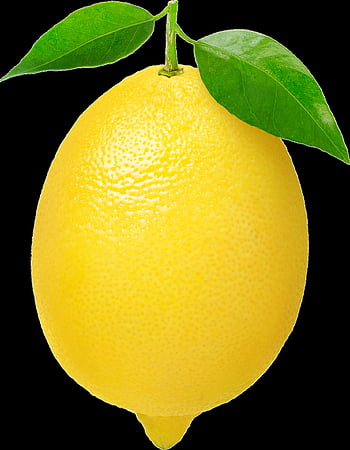 citrón, žlutá, citrus, žlutý citron