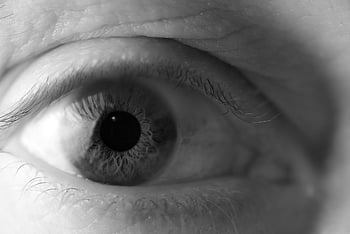 occhio, iris, visione, avvicinamento, pelle, vedere, bulbo oculare