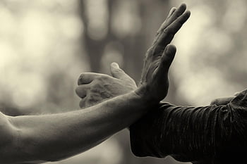 ruce, bojová umění, qi gong, taiji, Tai chi