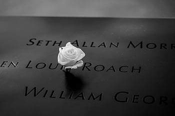 white rose, engraved names, 9/11 Memorial, New York City, love and remembrance, memorial tribute, white flower, engraved plaque, remembrance symbol, 9/11 victims, memorial site