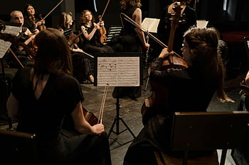 classical music, musicians, violins, cellos, concert, stage, group, playing, instruments, sheet music, performance