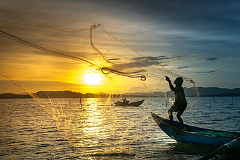 fisherman, casting net, boat, vibrant sunset, ocean, fishing, silhouette, sea, traditional fishing, sunset fishing, net casting