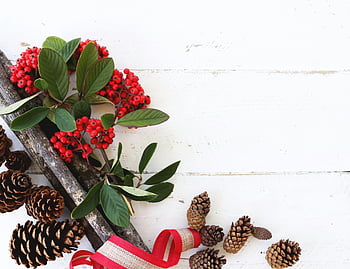 pigne marroni, bacche rosse, pigne, nastro festivo, superficie di legno rustica, vista dall'alto verso il basso, arredamento per le vacanze, decorazione natalizia, elementi naturali, tema invernale, accordo stagionale