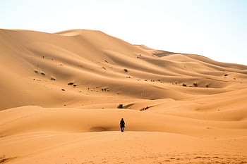 poušť, písek, duna, krajina, scenérie, Příroda, cíl cesty, sahara, marocký, Afrika