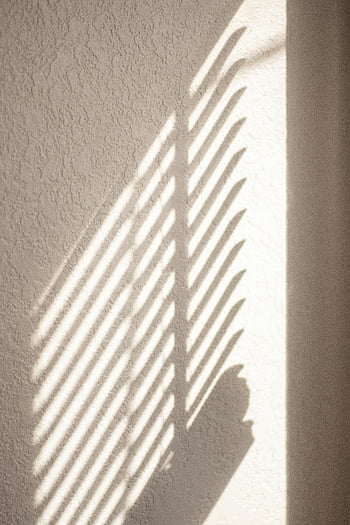 미니멀리스트 그림자 패턴, 질감이있는 벽, 부드러운 그림자, 깨끗한 라인, 밝은 설정, 미니멀리스트 디자인, 그림자 예술, 벽 텍스쳐, 기하학적 그림자, 현대 미학, 건축 사진