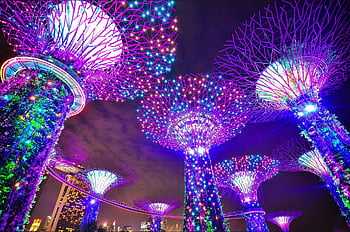 zahrady u zálivu, supertree háj, singapore, Osvětlené supertries, architektonický design, barevná světla, noční výhled, městská zahrada, moderní krajina, panoráma města, zářivé barvy