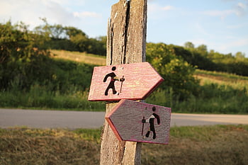 adresář, pole, Příroda, další, že jo, dřevo, letní