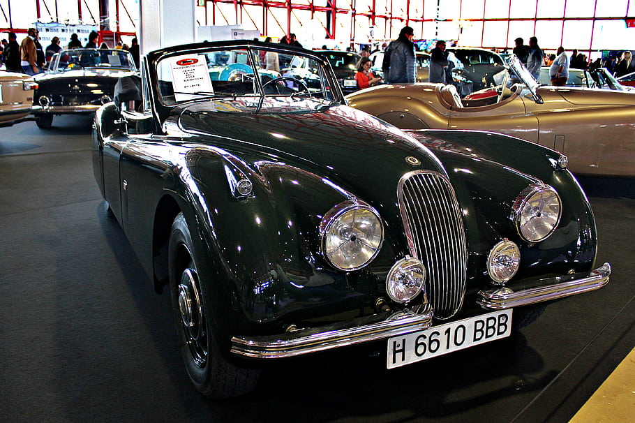 Jaguar XK, 1953, classic car, vintage automobile, convertible, car show, black car, front grille, round headlights, license plate, exhibition hall