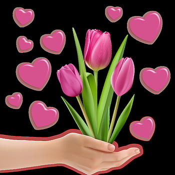 png Image, decor, tulips, heart, valentine's Day, hands, love, romantic, transparent Background