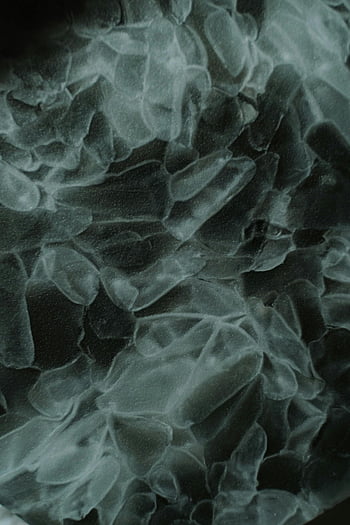 mikroskopijny abstrakt, mroźne tekstury, Wzory organiczne, Projekt zbliżenia, abstrakcyjne tło, mroźny abstrakcyjny, abstrakcja organiczna, mroźne wzory, abstrakcyjne tekstury, mroźne tło, organiczne tło