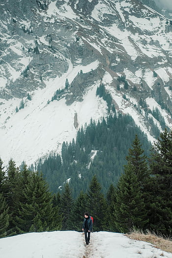 man hiking, snowy forest trail, majestic mountains, winter landscape, snow-covered mountains, forest path, outdoor adventure, mountain scenery, winter hiking, nature trail, alpine scenery