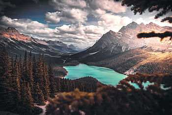 Peyto søen, naturskøn sø, Omgivet af træer, bjerge, Skov, dramatisk himmel, betagende udsigt, naturlandskab, udendørs sceneri, alpine sø, bjergrige område