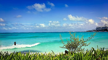 Cancun, Mexico, turquoise waters, green foliage, vibrant beach, clear blue sky, coastal scenery, tropical destination, ocean view, beachfront, seaside landscape