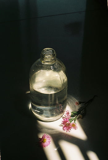 glass bottle, water, flowers, floor, dramatic shadows, sunlight, serene still life, pink flowers, indoor scene, minimalistic composition, natural light