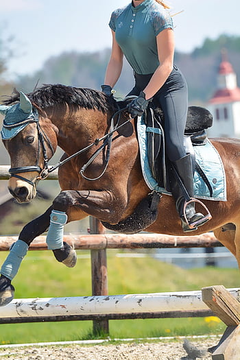 equestrian, horse, pony, jump, cavaletti, nature, reiter, horsewoman, brownhorse, saddle Horse, riding Pony