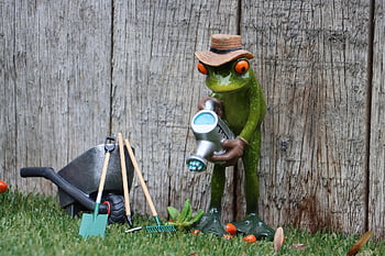 casting, gardening, gardener, garden Service, garden Maintenance, work, workplace, spade, put, watering Can, garden Subscription