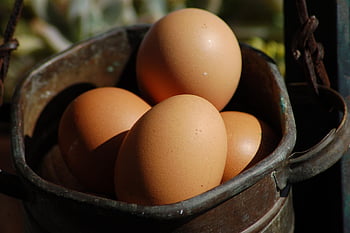 egg, food, kitchen, protein, yolk, ingrediants