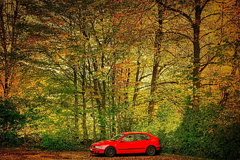 auto, auton taustakuvat, parkkipaikka, metsä, Puut, pudota, syksy, punainen auto, pysäköinti, pyökki, woods