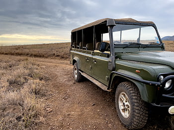 safari, adventure, transportation, sand, jeep, offroad, travel, auto, driving, vehicle, road