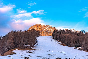 les montagnes, neige, forêt de pins, hiver, ciel d'après-midi, la nature, soleil de l'après-midi