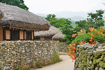 květ, Korea, tradice, Soul, tradiční, kultura, Příroda, jaro, cestovat, hanok, korejština