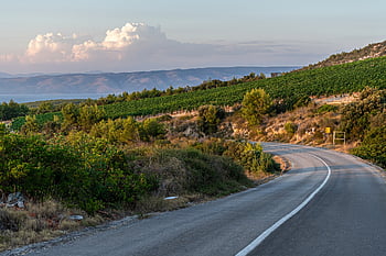 şarap, tepeler, Hırvatistan, üzüm bağı, bağcılık, peyzaj, doğa, manzara, kırsal bölge, seyahat