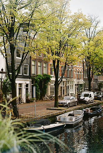 Amsterdam, canal, city street, green trees, parked cars, summer, charming, boats, waterfront, European city, architecture