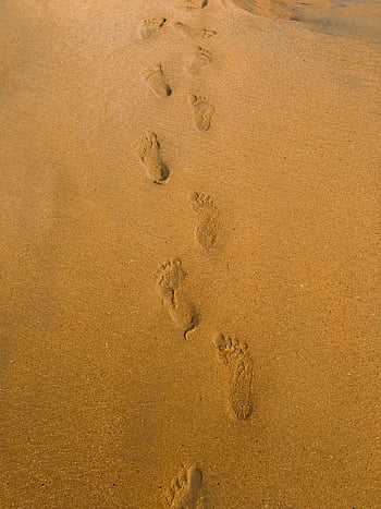 footprints in the sand, sandy beach, human footprints, travel themes, relaxation themes, tranquil view, beach footprints, sand texture, beach scene, natural beauty, serene environment