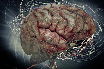 brain, think, neurons, connection, universal, networking, connected, memory, multiverse, programming, universe