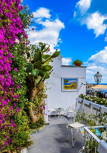 ระเบียง, แคคตัสสีเขียว, ดอกเฟื่องฟ้าสีชมพู, ระเบียงเมดิเตอร์เรเนียน, bougainvillea ที่มีชีวิตชีวา, มองเห็นวิวทะเล, เก้าอี้สีขาว, ที่นั่งกลางแจ้ง, ระเบียงที่มีเสน่ห์, ทะเลมองข้าม, ระเบียงดอกไม้