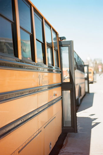 school bus, yellow school buses, open doors, sunny day, row of buses, parked buses, school transportation, school bus windows, outdoor scene, education vehicle, Viens bus