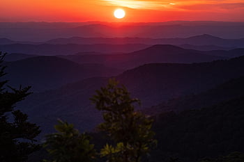 roan hegy, deres ló, hegyek, napnyugta, rétegek, tavaszi, azálea, appalachian, hegy, esik, ősz