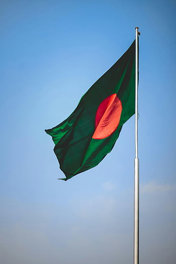 Bangladesh flag, national flag, clear blue sky, waving flag, green flag, red disc, flagpole, outdoor scene, Bangladesh symbol, national symbol, pride