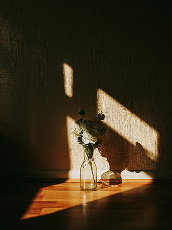 váza na podlaze, Minimalistické květinové uspořádání, dramatické stíny, teplé sluneční světlo, dřevěná podlaha, fotografování interiérů, přirozené světlo, stálý život, domovní dekorace, Moderní estetika, květinová váza