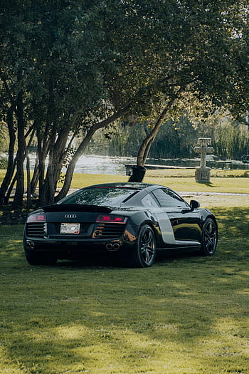 audi r8, parkert bil, gress, rolig innsjø, trær, svart sportsbil, elegant design, utendørs omgivelser, natur, luksusbil, naturskjønn beliggenhet