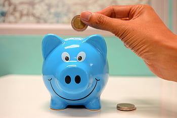 piggy bank, blue piggy bank, coin insertion, savings, money management, hand inserting coin, financial planning, piggy bank savings, blue piggy, coin saving, piggy bank money
