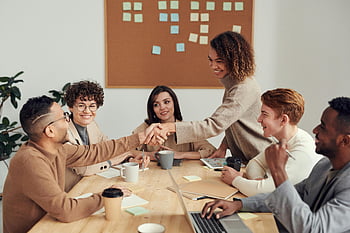 colleagues shaking hands, diverse team, collaboration, teamwork, cooperation, modern workplace, meeting, professional interaction, office environment, group discussion, business people