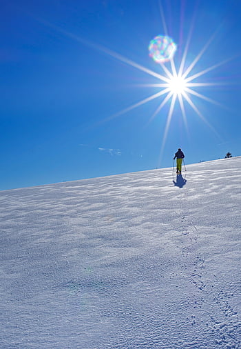 ski, winter, snow, season, outdoors, adventure, travel, nature, exploration, snowshoeing, leisure Activity