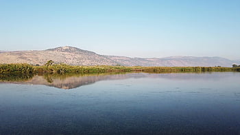 lake, nature, travel, exploration, outdoors, nature Reserve, hula Valley, bird Migration, hiking, v1, birds