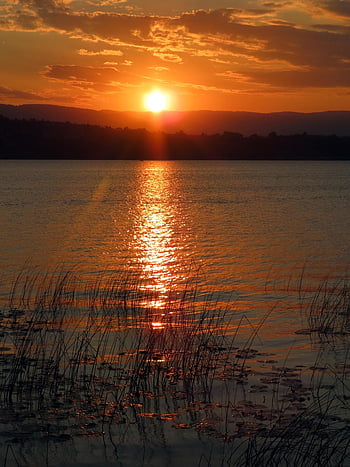 jezioro, zachód słońca, trzcina, Natura, Region Jeziora Murten, chmury, odbicie, tło