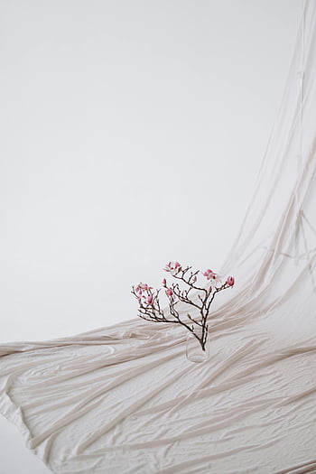 Blooming Tree Branch, růžové květy, bílá přehozená látka, Minimalistická elegance, elegantní větev, Minimalistická estetika, měkké osvětlení, květinové aranžmá, jednoduchý design, moderní dekor, větev ve váze