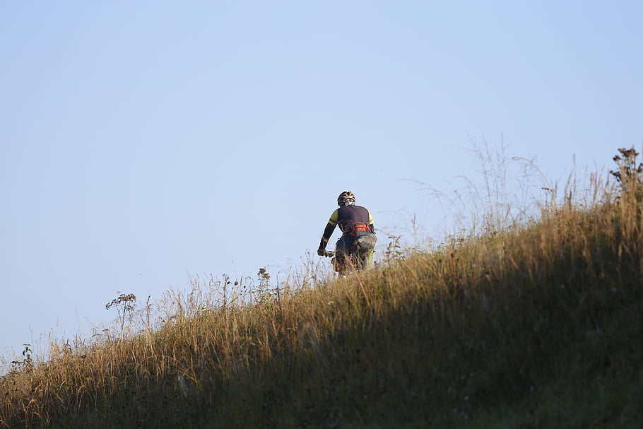 cyclist, bike Ride, bike Path, nature, landscape, meadow, countryside